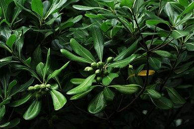 时间管理模拟游戏《Tribe Dash》Steam页面上线 4月6日发售